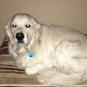 Meet your Posher, Briana